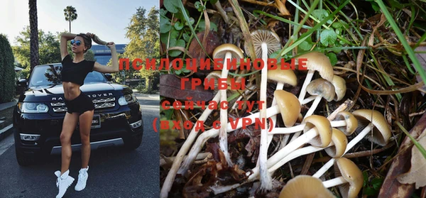 прущая мука Медвежьегорск