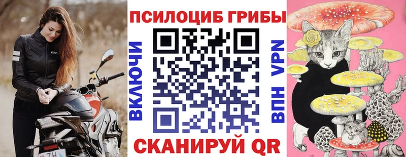 как найти закладки  Певек  Псилоцибиновые грибы GOLDEN TEACHER 